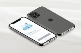 MaiWai App Development